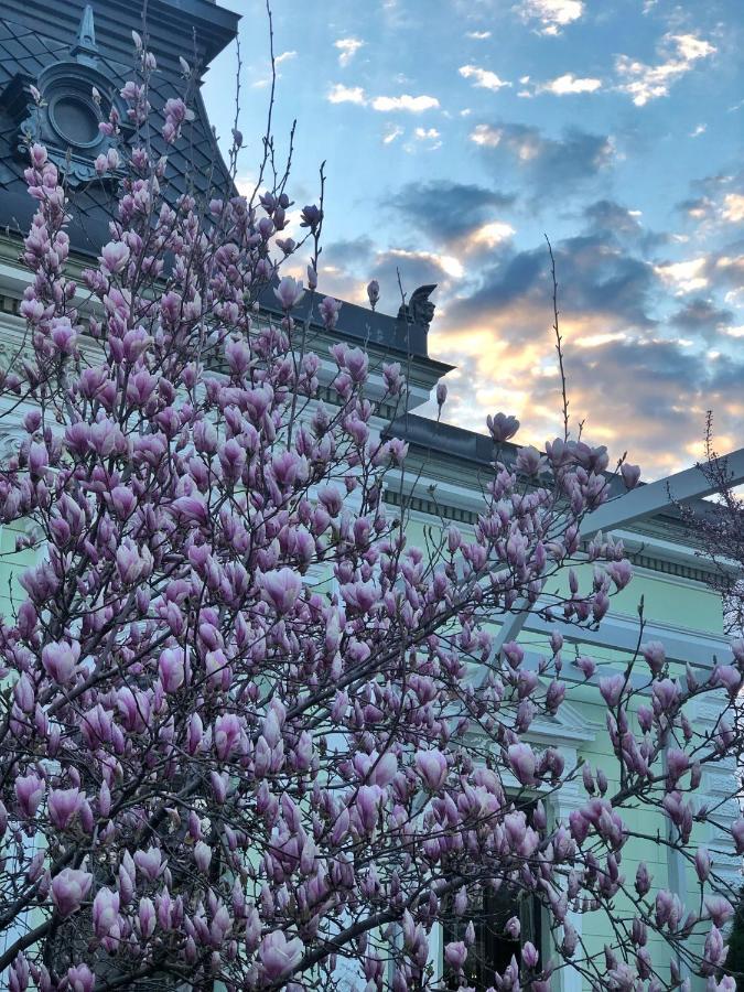 Hotel Belvedere Botosány Kültér fotó